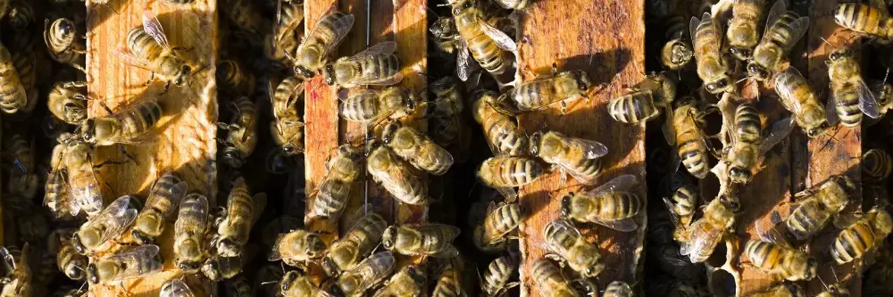 de grootste en sterkste notariële community van Nederland