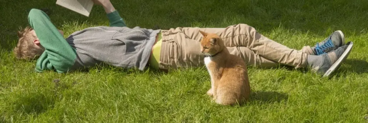 Zorg voor je kat in een (levens)testament? Dat kan! 