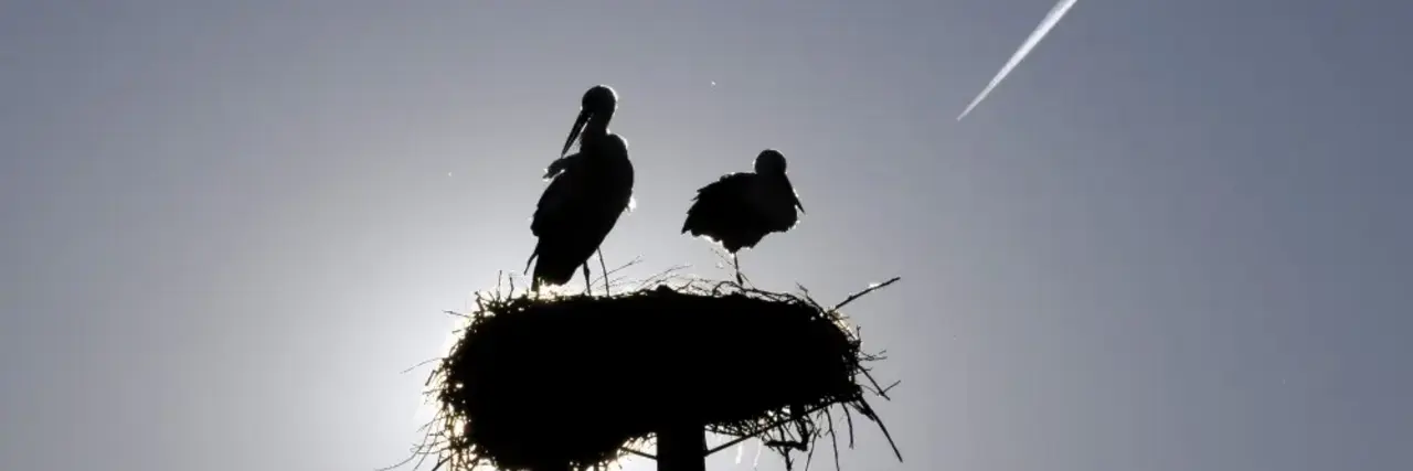 Geboren worden in een vliegtuig is best ingewikkeld